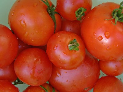 Tomatoes by Lois Ann