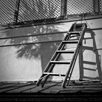Palm Shadow & Ladder  by Bootstrap
