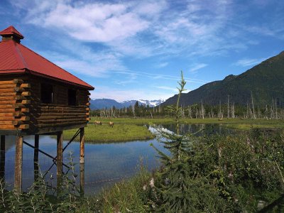 Alaska Wildlife Preserveby Jan (aja2)