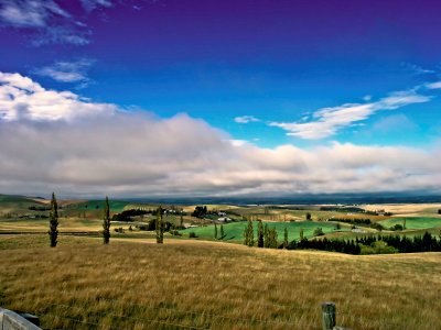 Across the Fence (NZ)by John Byrne