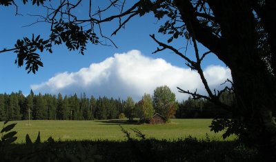 House on the fieldsby Vio (Marlene)