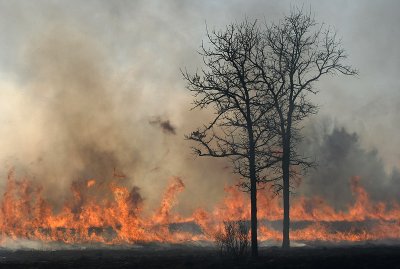 Fire and Ice...2 of my favorite subjects. This shot is from a prescribed burn in my area.
 
