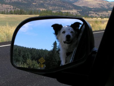 Are we there yet?by Sharon Engstrom