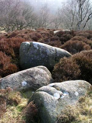 Moorland Gritstoneby sherwoodpete