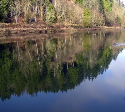 Snoqualmie River Serenity  By Straycat50 .