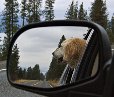 Warning objects in your rear view mirror by Sharon Engstrom