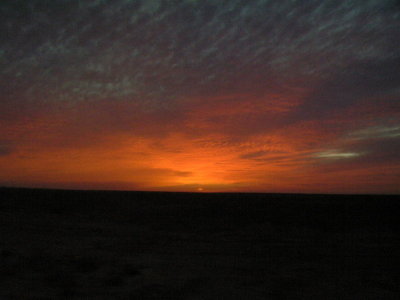 Negev sunset (from a moving bus)  by SusanG