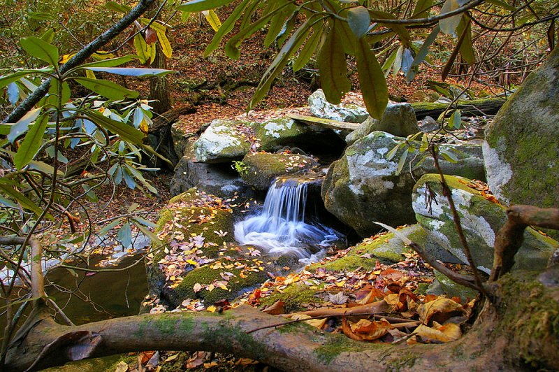 cades cove Tenessee 324.jpg