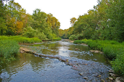 Elkhorn Creek near Galloway bridge
