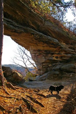 Red river Gorge, Double Arch