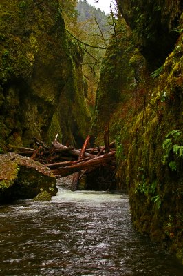 Oneonta Creek Gorge, OR