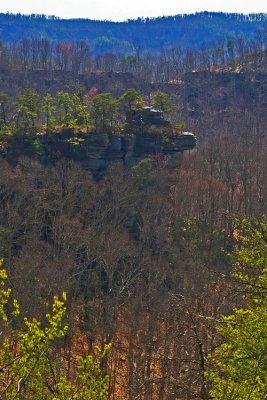Some cliffs in the Red River Gorge, KY