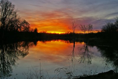 Homestead pond Scott county, KY