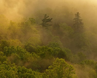At sunrise from Sky Bridge, Red River Gorge, KY