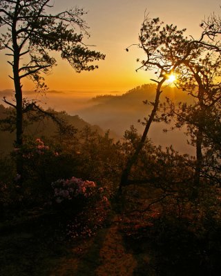 Sunrise at Settimi Point in the Red River Gorge, KY