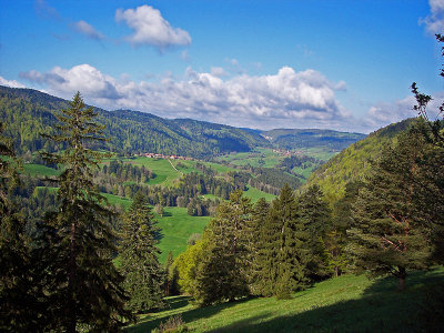  Switzerland and spring in the Swiss Jura mts 2005