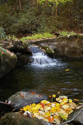 cades cove Tenessee 298.jpg