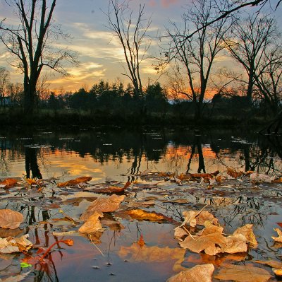 Elkhorn Creek winter is coming.