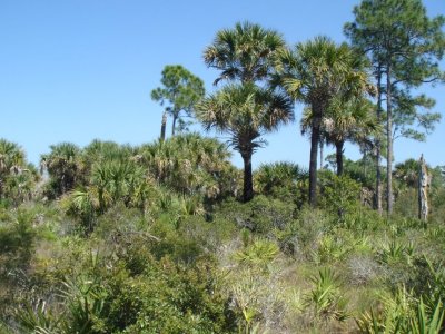 Big Cypress National Preserve