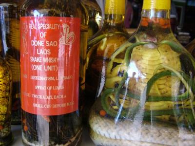 Snake Whiskey for sale in Laos