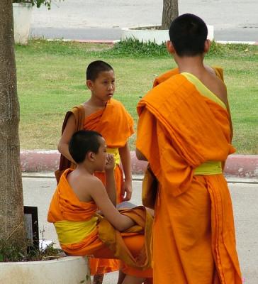 novice monks