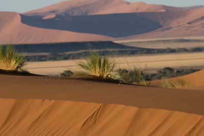 Sossusvlei View