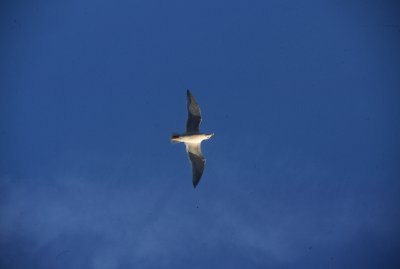 DS060311203343.jpg