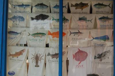 Learning about Fish by wearing Fish T-Shirts