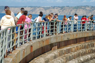 Seal Watchers