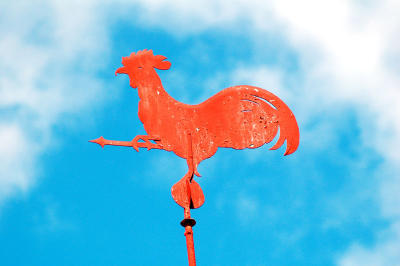 Wind Rooster