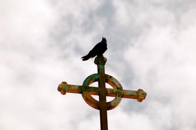 Crow on Cross
