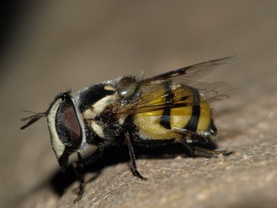 _A281797.JPG