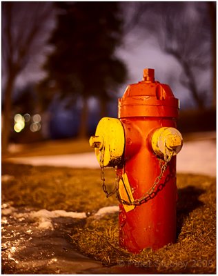 Hydrant at night.