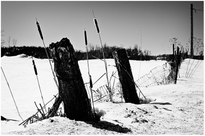 Snow fence.