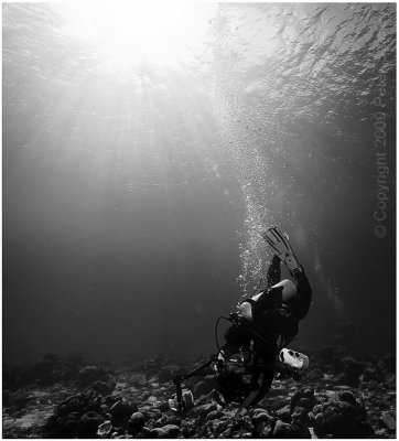 Underwater photography.