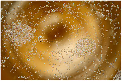 Seasonal bubbles.