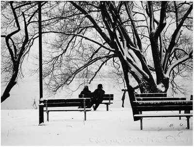 Winter benches.