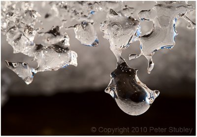 Macro ice.