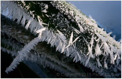 Feather frost.