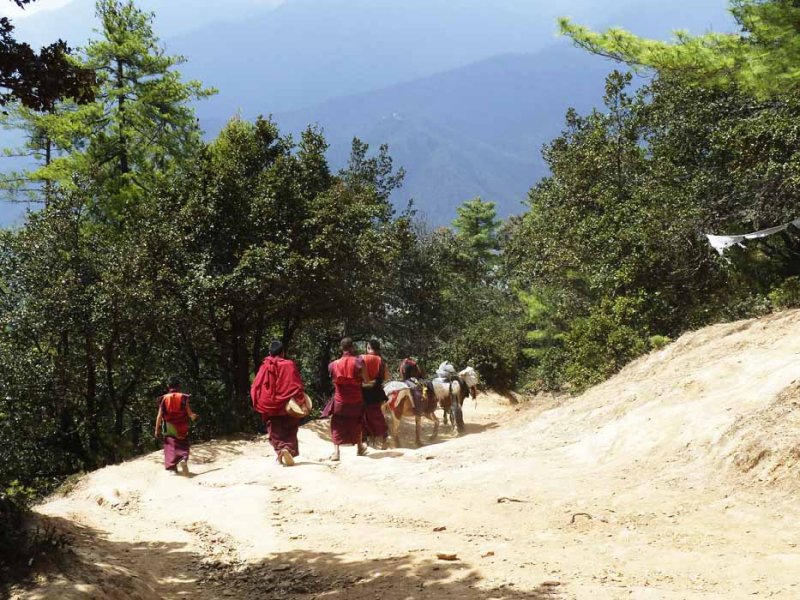 Descending to Paro Valley