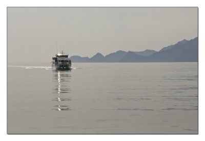 Kenai Fjord