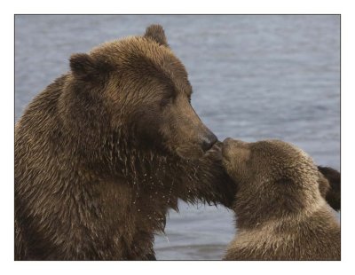 ... a tender moment...