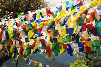 Prayer flags on the hike to Tigers Nest