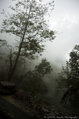 Rainy day on the road