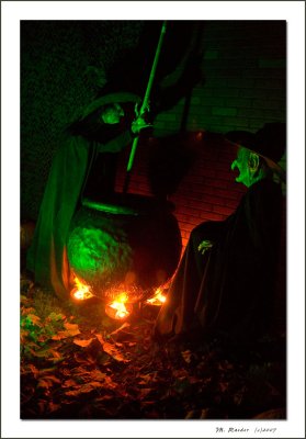 Witches_536d