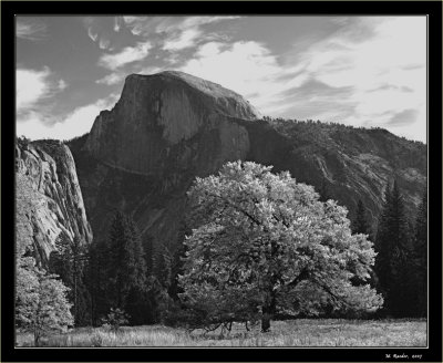 Half Dome, Yosemite_454g