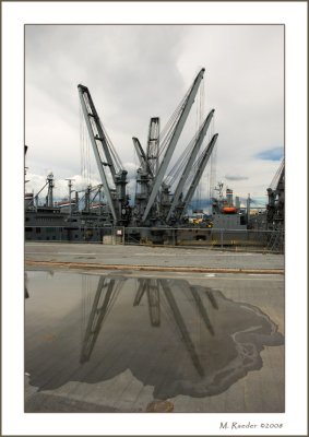 Cranes_569e