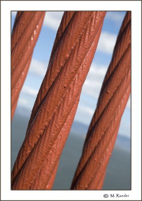 Golden Gate cables_573g