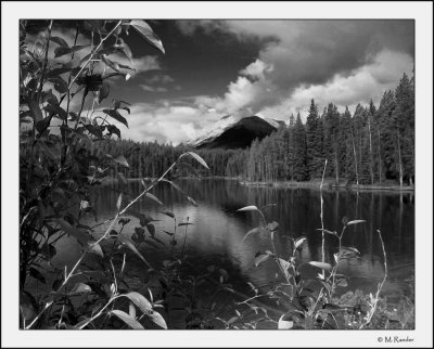 Herbert Lake_574e