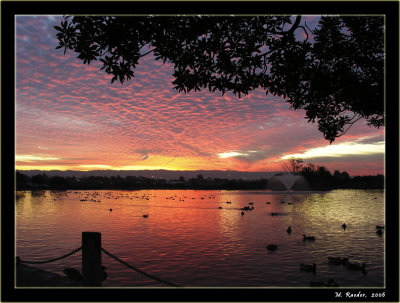 Sunset at the Duckpond_467